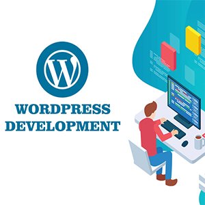 wordpress 公司